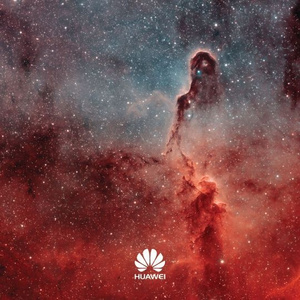 CBA李梦毛片免费观看
